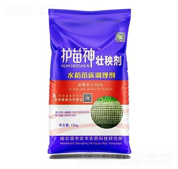 �o������턩-�Pʩ������