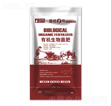 �ЙC�������-���C1̖-��������