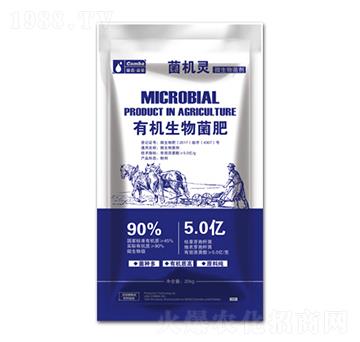 �ЙC�������-���C�`-��������