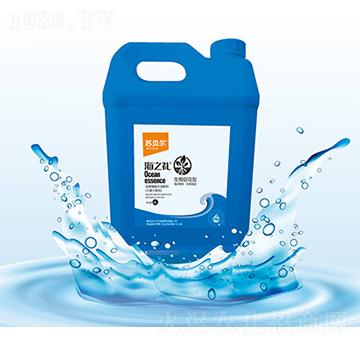 ���׽�-�Kؐ��