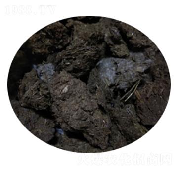 ��ţ�S��-�T������