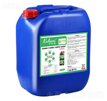 ȸ�`��-���_˹-��̷ʘI(y��)