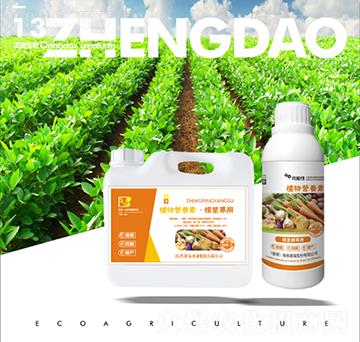 ���o����ֲ��I(y��ng)�B(y��ng)��-��������