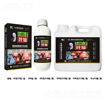 ʯ�񰱻�������LЧҺ��-�~�N-�»�