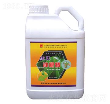 �~���_�ʾ�-���Z�S