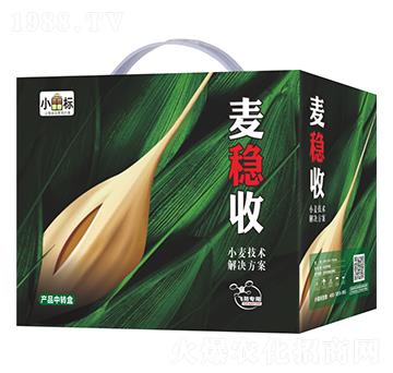 ����(w��n)��С�����g(sh��)��Q����-С����