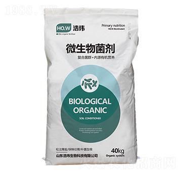 ΢�������-�Ƭ|����