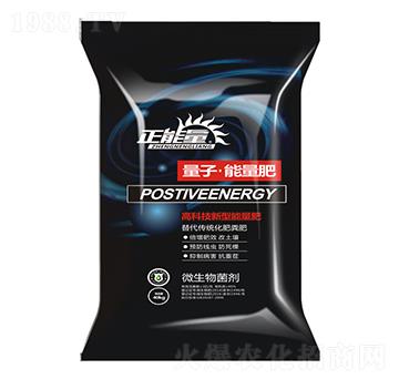 ���ӡ�������-������