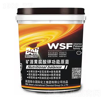 �VԴ�S����⛹���ԭ��-Ӣ������-�տ���