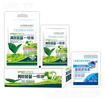 黃葉死苗一噴綠+基因誘導(dǎo)素-沃迪久