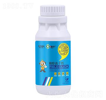 �Ǵ��x���}-��СѾ-�_������