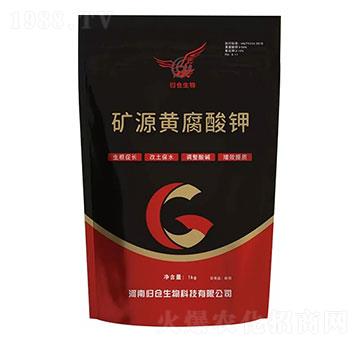 �VԴ�S�����-�w�}����