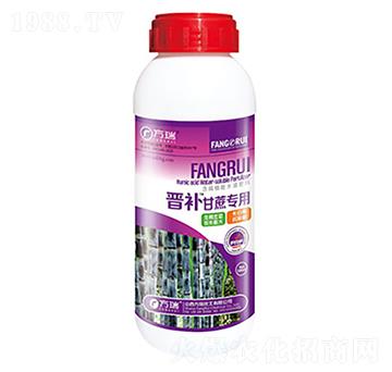 �x�a���ጣ��-����