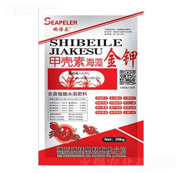 �ך��غ�����-�������