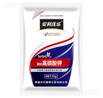 ø�ĸ������-�֠�