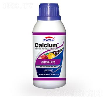 �����x���}-������(y��u)��(l��)-�֠�