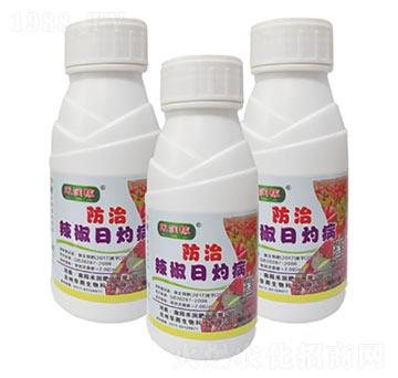 辣椒日灼病-禾潤肥業(yè)
