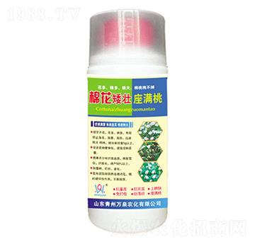 �޻��������M��-�fȪ�r��