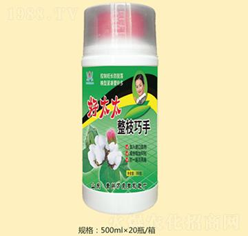 ��̫̫��֦����-�fȪ�r(n��ng)��