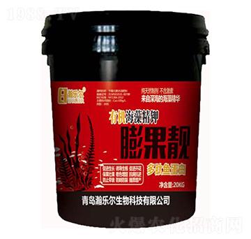 �ЙC���徫�����n-嫘���