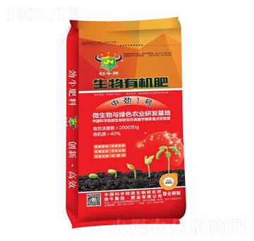 �����ЙC(j��)��-�Є�1̖(h��o)-��ţ