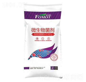 ΢����������ۄ���-������