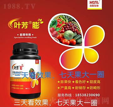 �������-�~����-���(y��ng)����