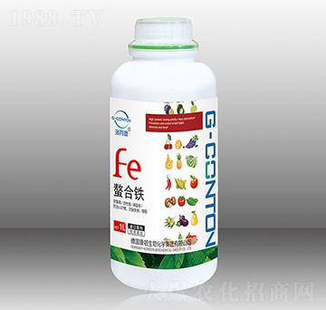 1000gG-CONTON�������F-��ұ�-�A����