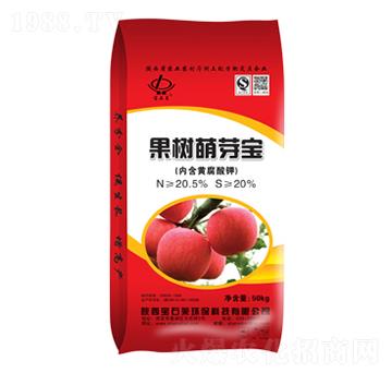 ������ѿ��-��ʯ�R