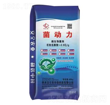 ������΢�������-��ʯ�R