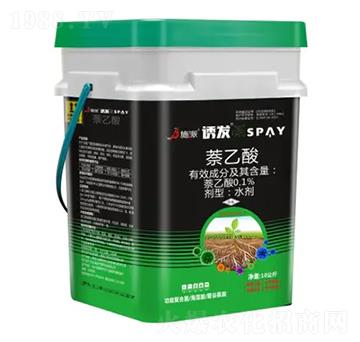 �T�l(f��)-ʩ������