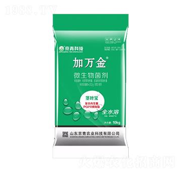 �o�~��΢�������-���f