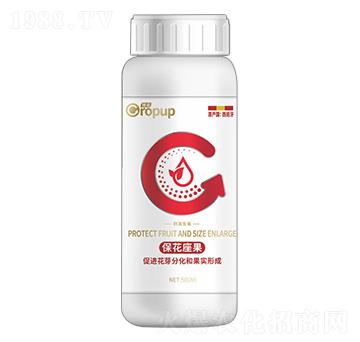 �̼����L��~���-���Z-�¶�����