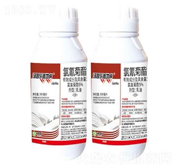 5%�����������-�w�ػ�-���՘�