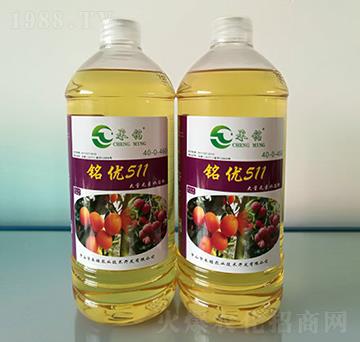 �S��⛷�-㑃�(y��u)511-����r(n��ng)�I(y��)