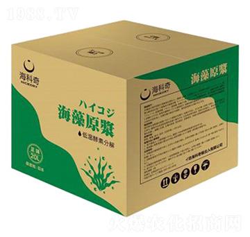 ����ԭ�{-������