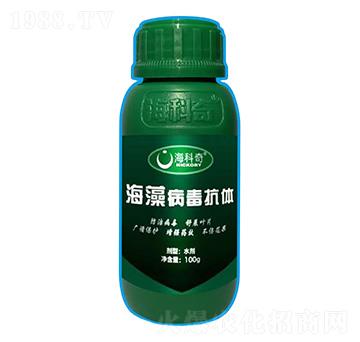 ���岡�����w-������