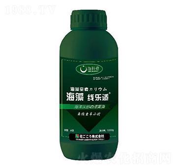 ���往��(l��)�m-������