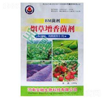 BM��������������Ϳݡ��u�S��(zhu��n)�ã�-��������