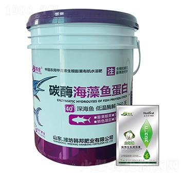 ̼ø�����~����-�n��-�n��ʘI(y��)