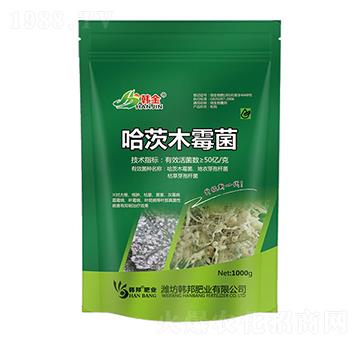 ����ľù��-�n��-�n��