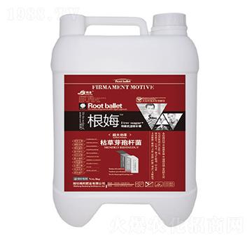 �ݲ�ѿ�ߗU��-��ķ-�n