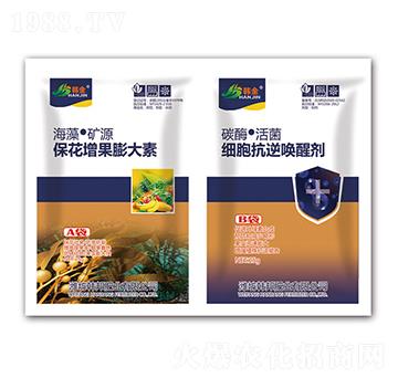 �������������-��(x��)����