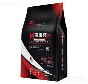 ��̼�˄�-��δ��(l��i)