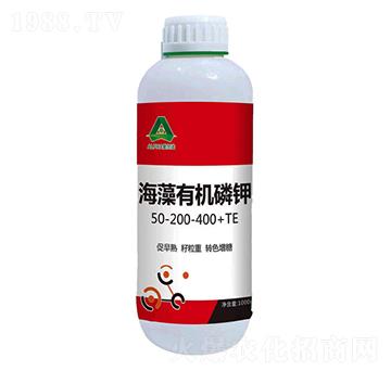 �����ЙC(j��)���-��(��i)����