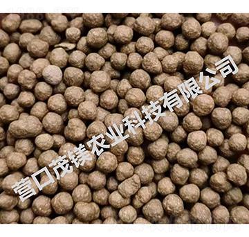 ��͹���w��-ï�V�r�I(y��)