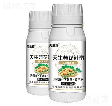 ����ѿ�����-���Q