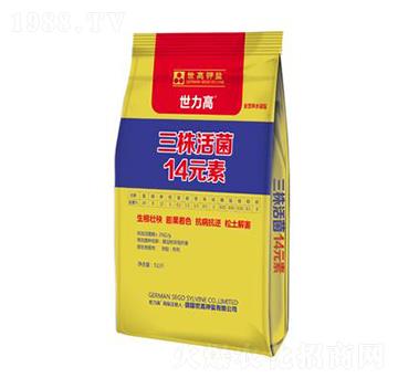 ������14Ԫ��-����������