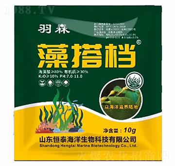 10kg���n-��ɭ-��������