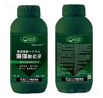 ��������-������